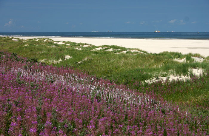 Ostd&uuml;nen und -strand