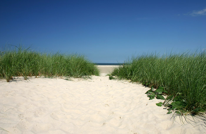 Strand und D&uuml;nen