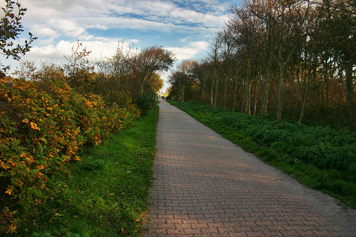 Stra&szlig;e zum Osten