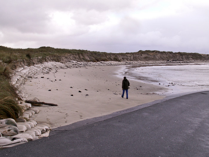 Harle H&ouml;rn-D&uuml;nen nach dem Sturm
