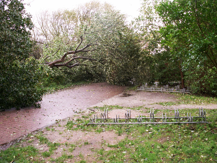 Sturmsch&auml;den an der Stra&szlig;e zum Osten