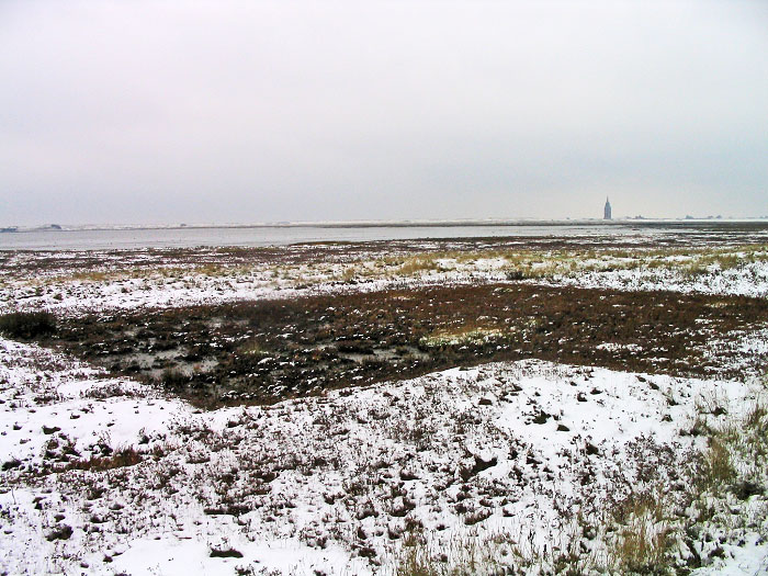 Deichvorland mit Schnee