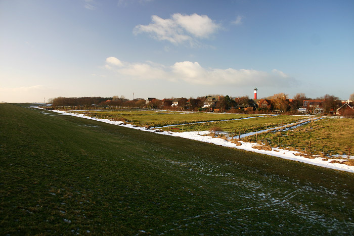 Weiden im Dorfgroden