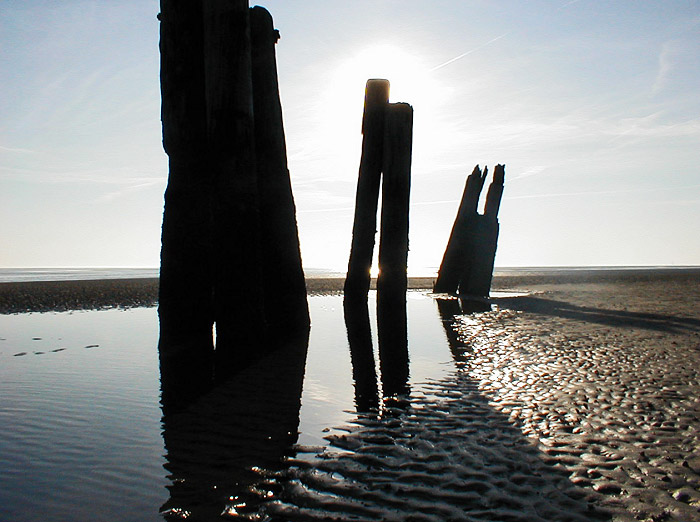 Dalben am Ostanleger