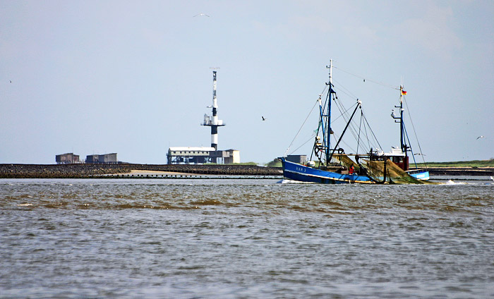 Krabbenkutter in der Blauen Balje