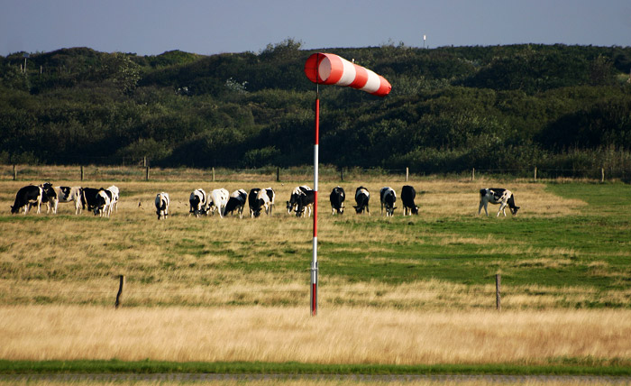 Windsack im Ostinnengroden
