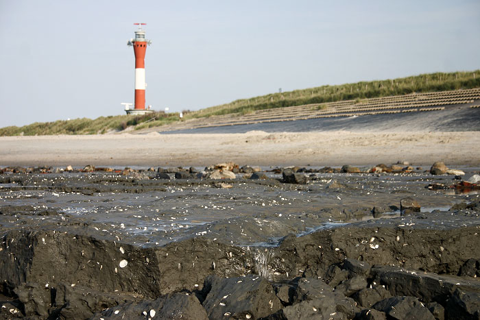 Schlickfläche am Weststrand