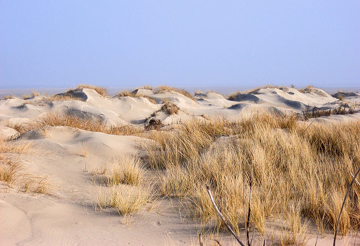 D&uuml;nenlandschaft im Osten