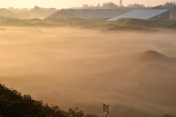 Fr&uuml;hnebel in den D&uuml;nen