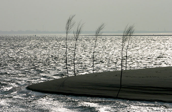 Pricken in der Einfahrt zum Anleger