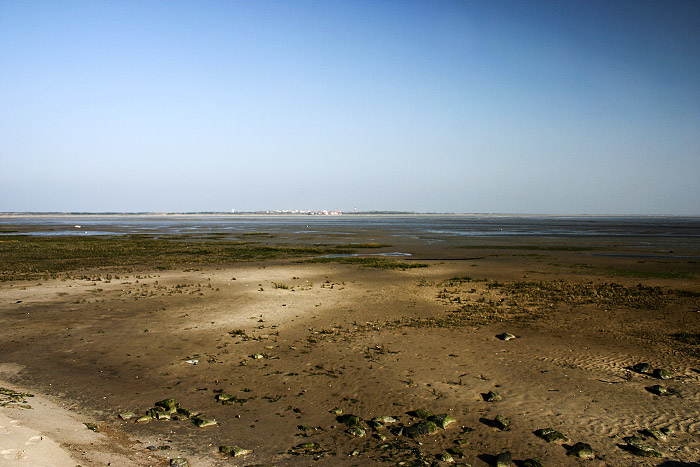 Blick auf das Watt