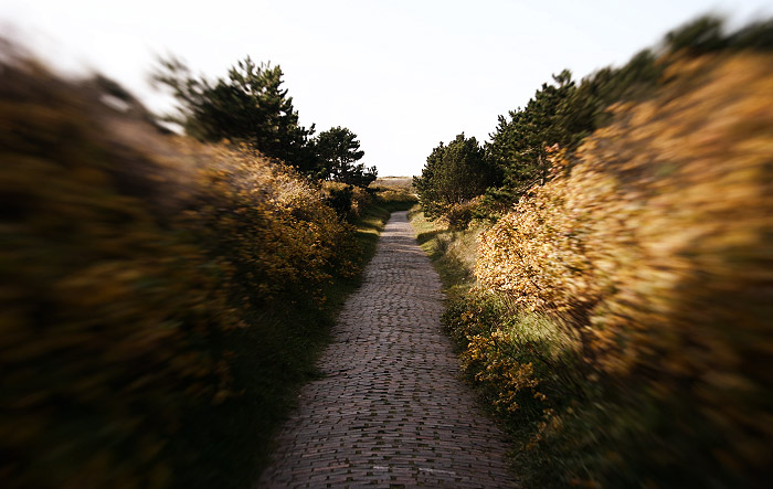 Schmaler Fu&szlig;weg