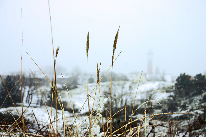 Osterd&uuml;nen im Winter