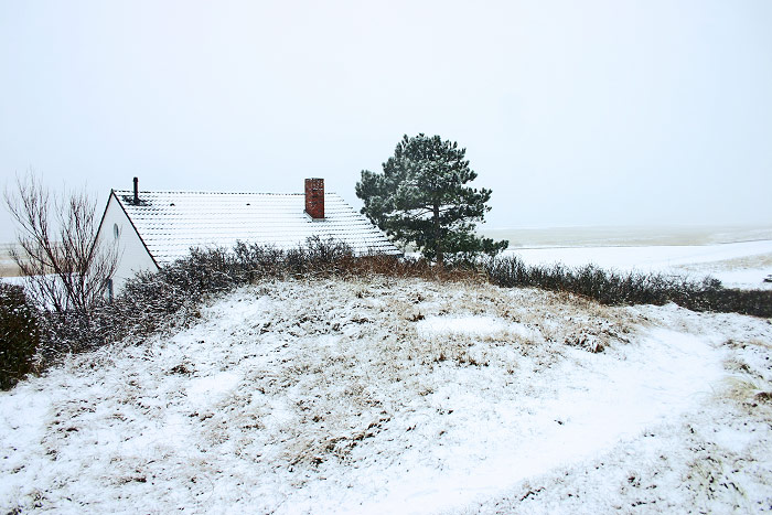 Verschneiter Erlengrund