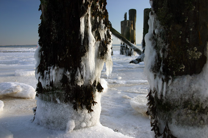 Vereiste Anlegedalben