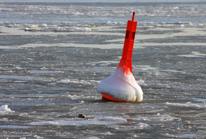 Backbordtonne im Treibeis