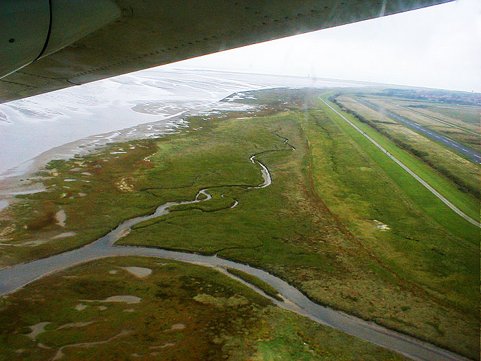 Deichvorland bei Klein-Amerika