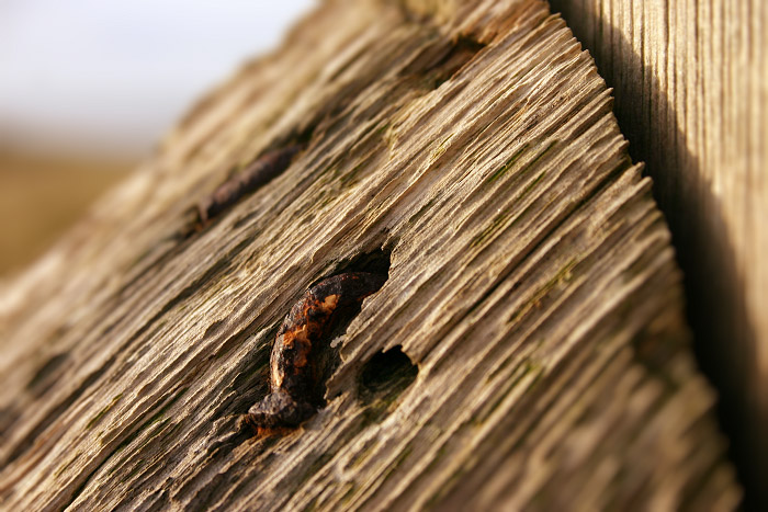 Nahaufnahme vom Zaunpfahl