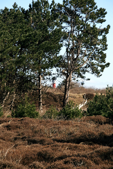 Braund&uuml;nen-Landschaft