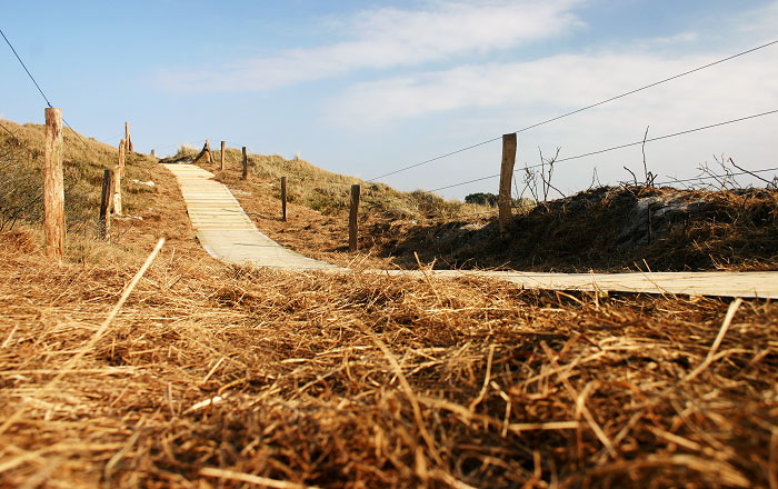 Neue &Uuml;berwegung