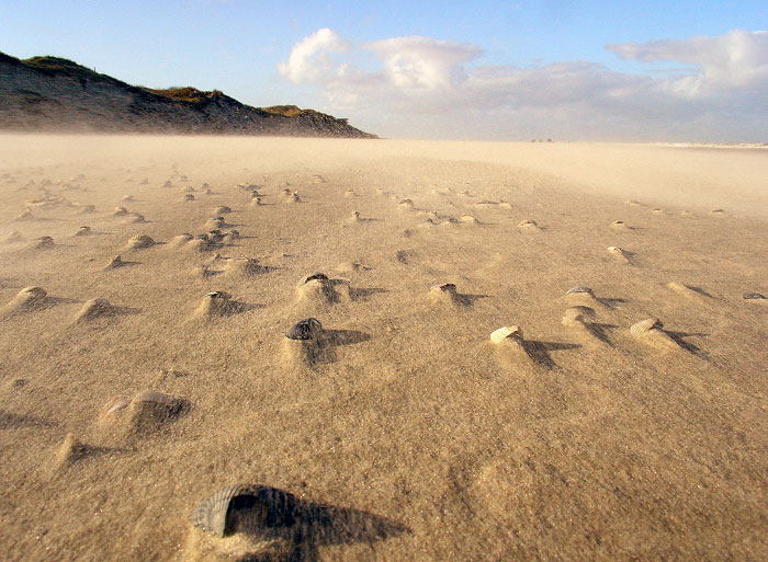 Sandwehen am Oststrand