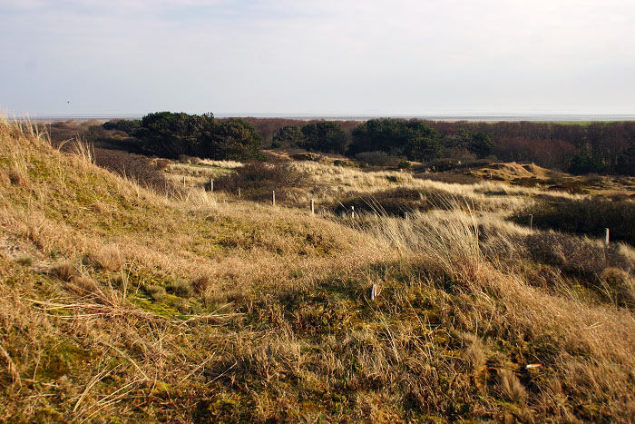 Rundblick &uuml;ber die D&uuml;nen