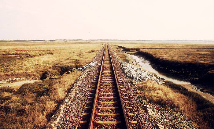 Salzwiesen im Westen von der Bahn aus gesehen