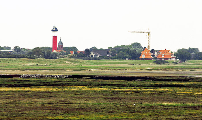 Inseldorf vom Westgrodendeich aus gesehen