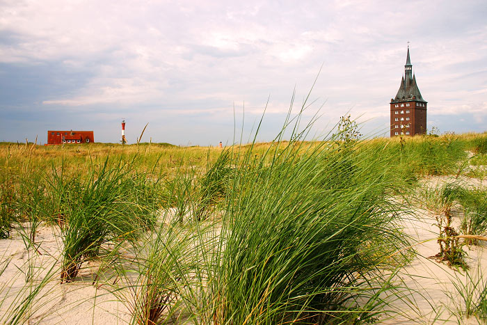 Auf den S&uuml;dwestd&uuml;nen