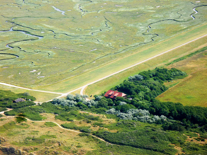 Ostgroden mit Caf&eacute; Neudeich