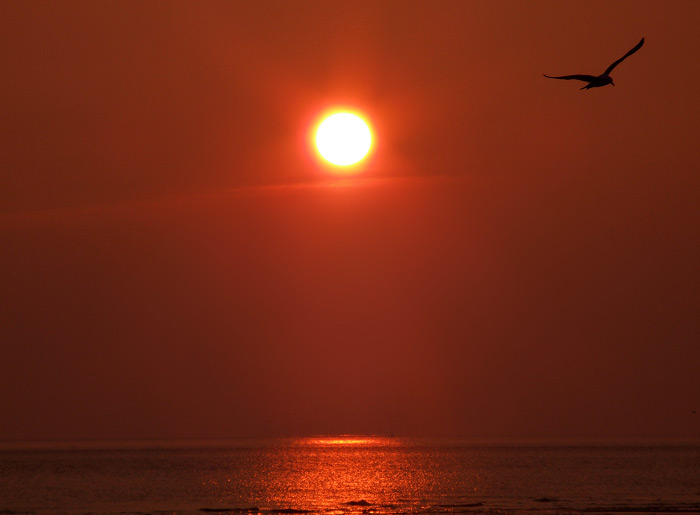 Sonnenaufgang &uuml;ber dem Meer