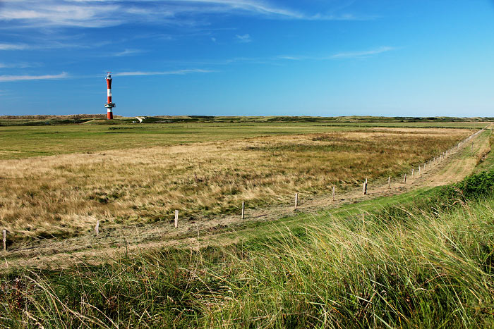 Weiden im Westinnengroden