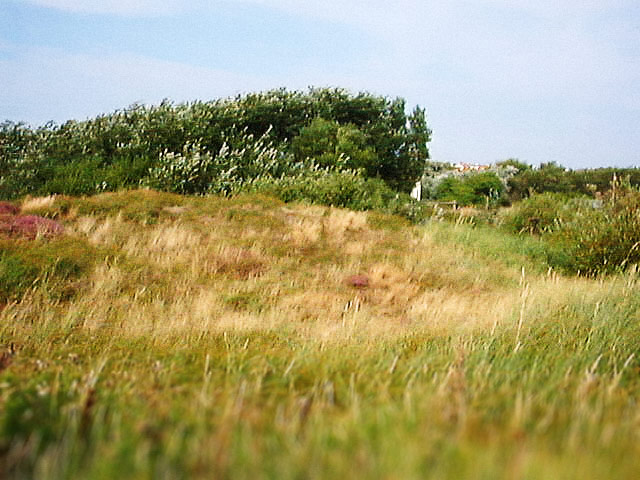 Erlengrund westlich des Dorfes