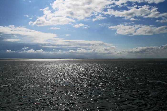 Niedrigwasser im Westen