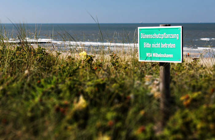 D&uuml;nenschutzpflanzung &ndash; Bitte nicht betreten