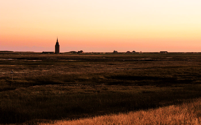 Blick vom Deich auf die Salzwiesen am Abend