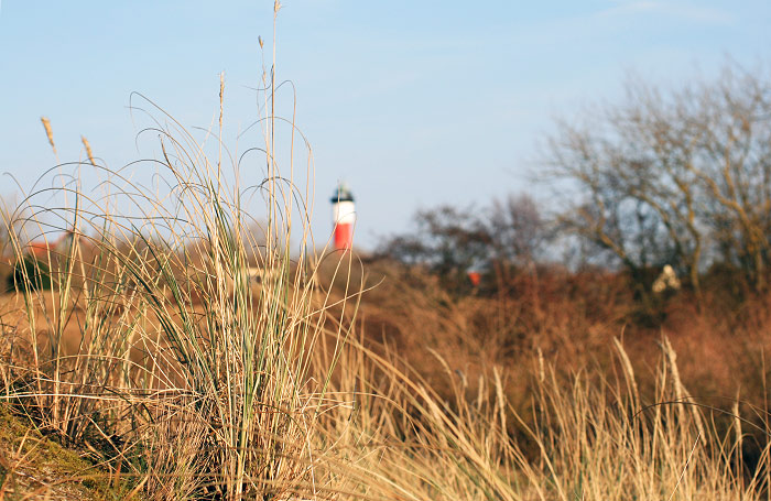 Osterd&uuml;nen im Fr&uuml;hjahr