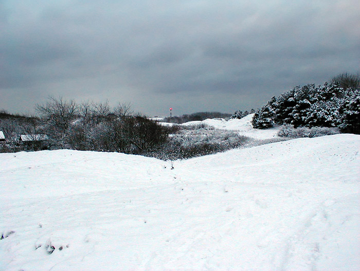 Westliche Osterdünen im Winter