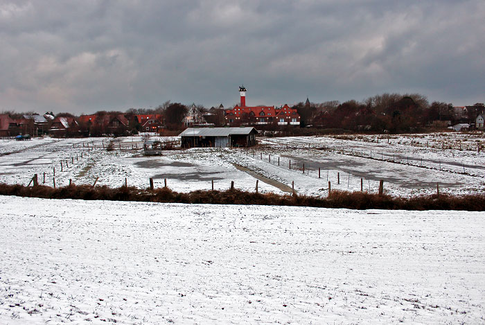 Pferdeweiden im Dorfgroden