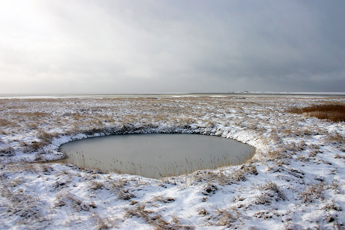 Bombentrichter im Deichvorland