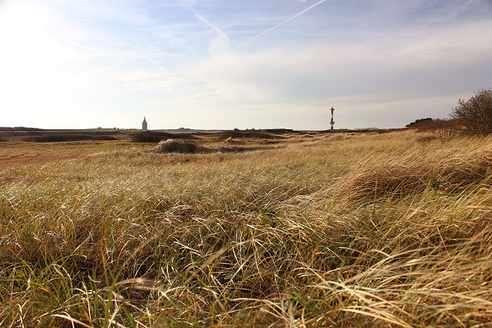 Grimmsh&ouml;rn im Westinnengroden