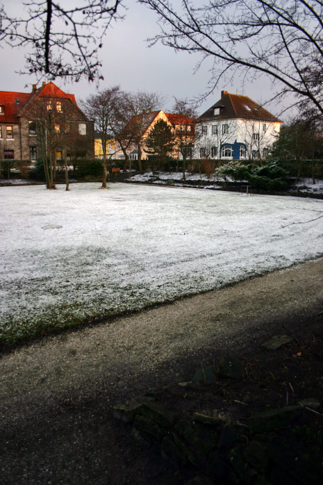 Steingarten im Winter