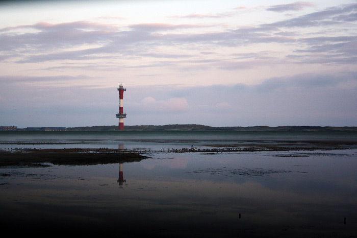 Lagune im Westau&szlig;engroden am Morgen