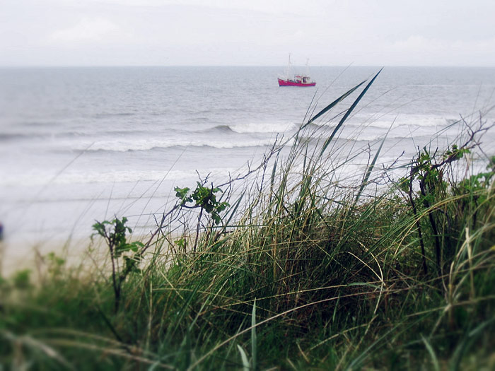 Fischkutter vor der Insel
