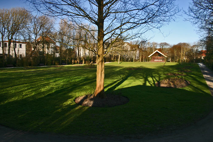 Rosengarten am Abend