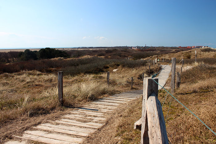 D&uuml;nen&uuml;berwegung