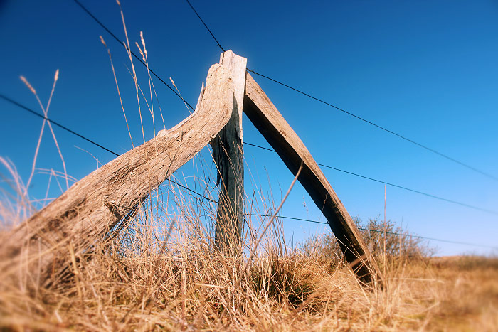 Zaun an der D&uuml;nen&uuml;berwegung