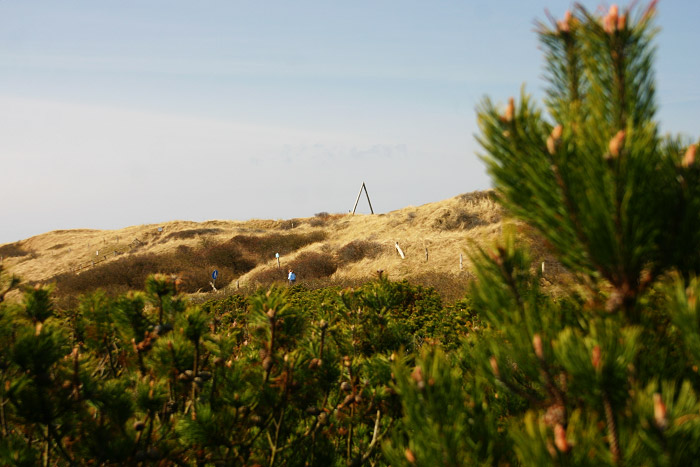 Nordd&uuml;nen mit A-Mast