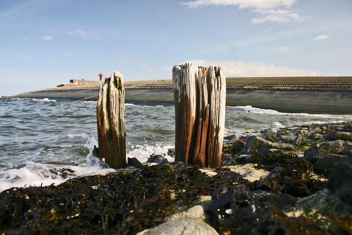 Blick von Buhne E zum Deckwerk