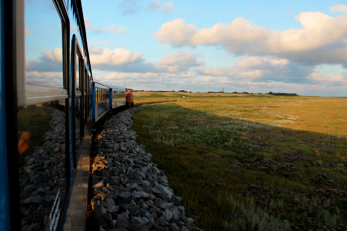 Fahrt durch die Salzwiesen